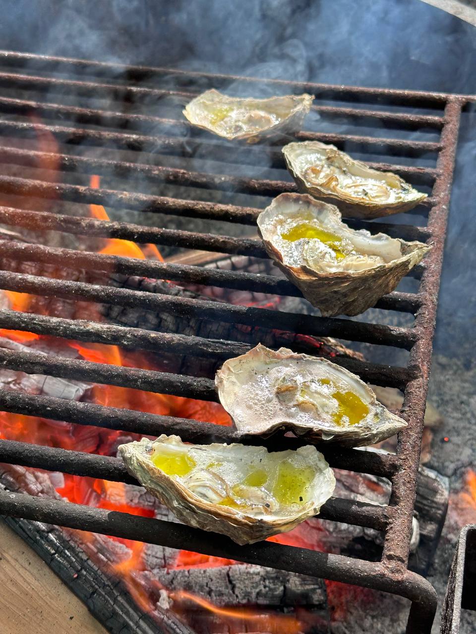 Campfire oysters in Crescent City.